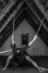 IMG 9834